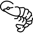 Prawns Icon