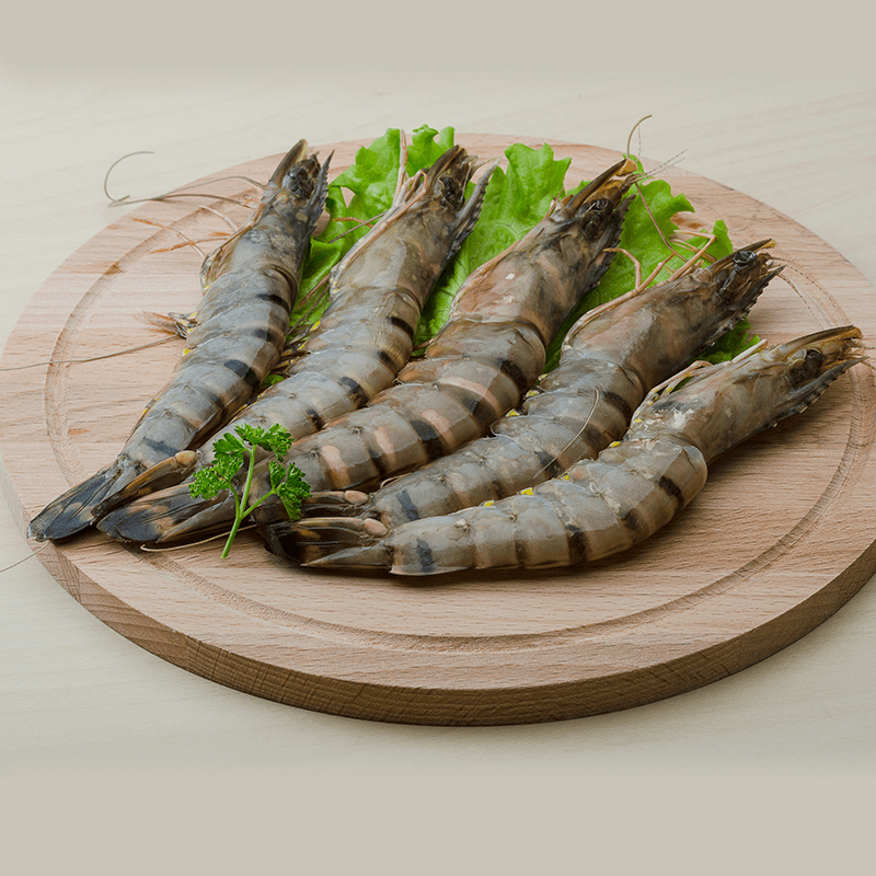 Tiger prawn